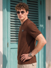 Essential Stripe Collar Brown Regular Fit Polo T-shirt