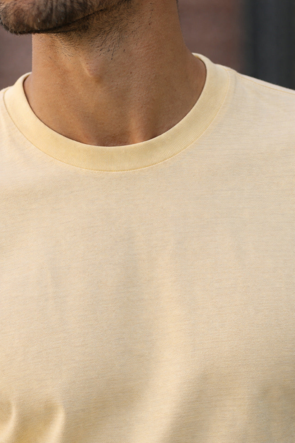 Swan White Plain Regular Fit T-shirt