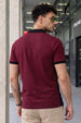 Black Maroon Colorblock Printed Regular Fit  Polo T-shirt