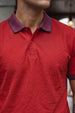 Salsa Stripped Collar Regular Fit Exclusive Pique Lycra Polo T-Shirt