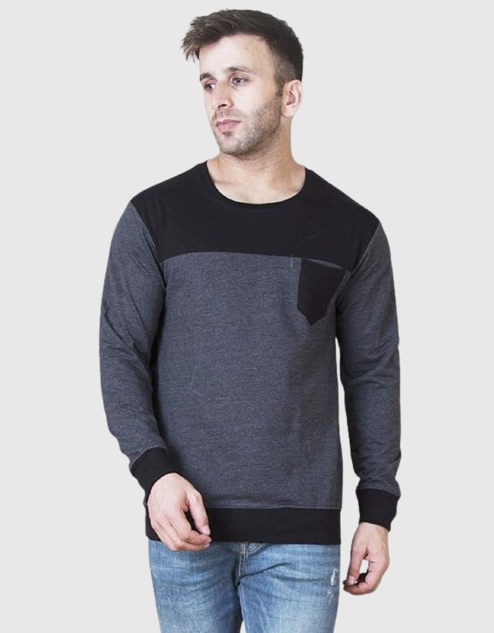 Anthra Regular Fit Sweatshirt