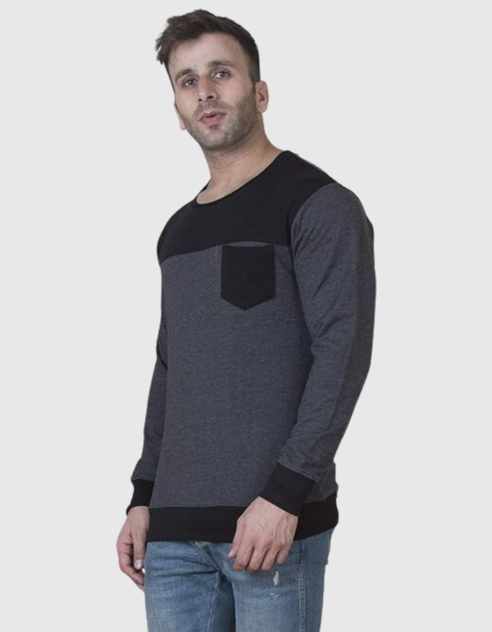 Anthra  Regular Fit Sweatshirt