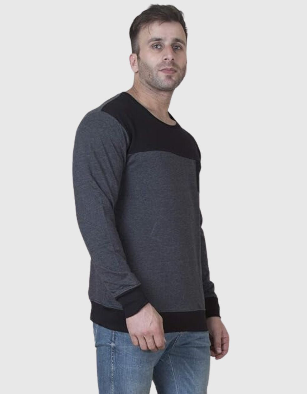 Anthra Regular Fit Sweatshirt