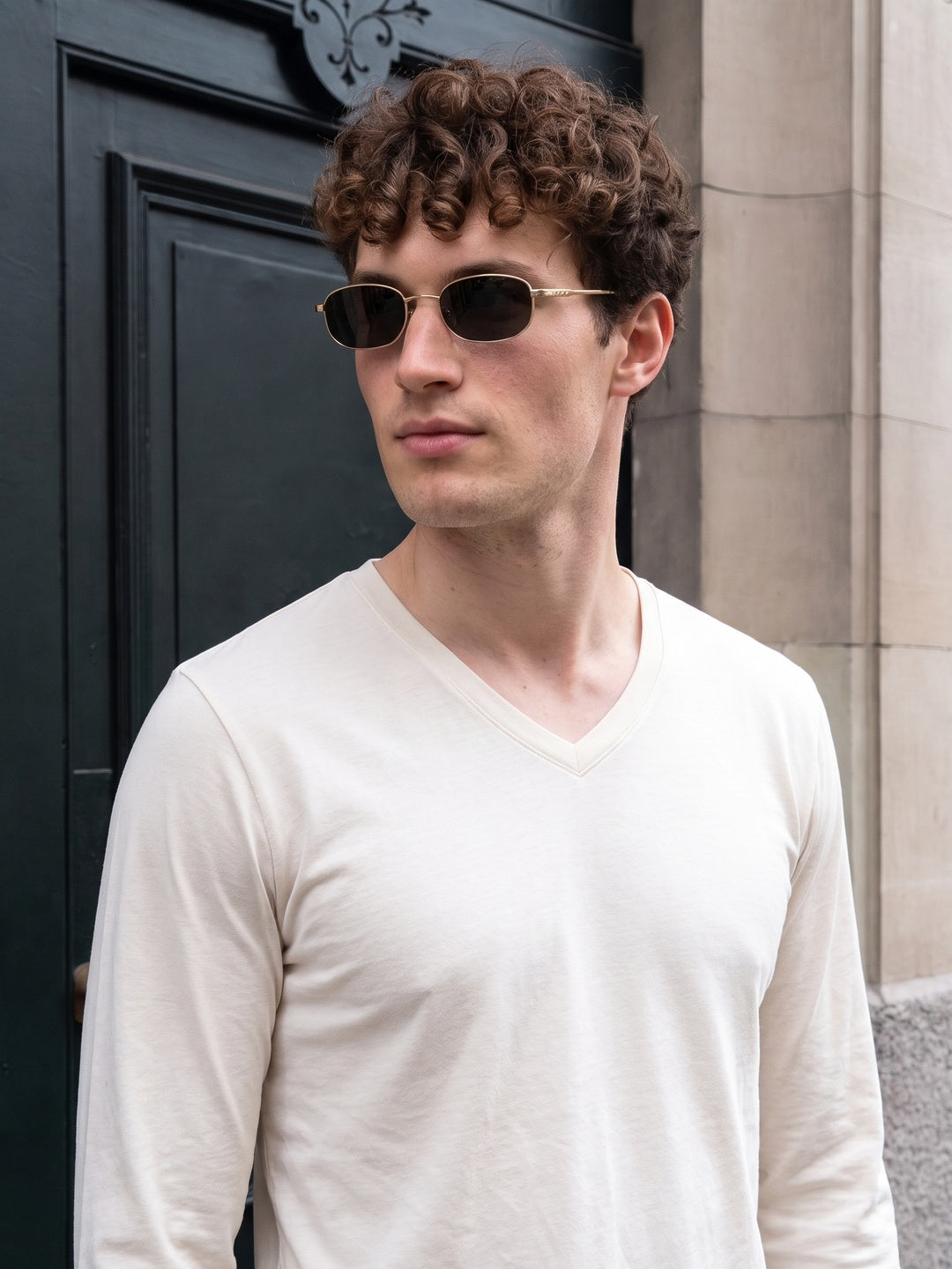 Swanwhite Plain Full Sleeves V-Neck Regular Fit T-shirt
